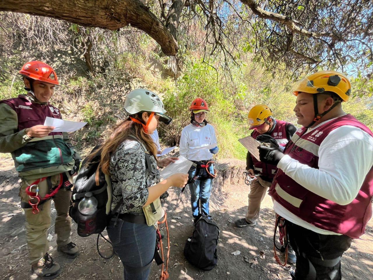 WhatsApp Image 2026-03-25 at 11.18.34 AM (1).jpeg