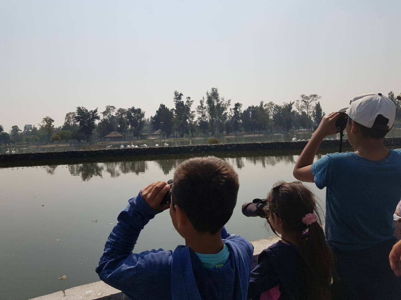 WhatsApp Image 2026-04-23 at 11.57.55 AM.jpeg