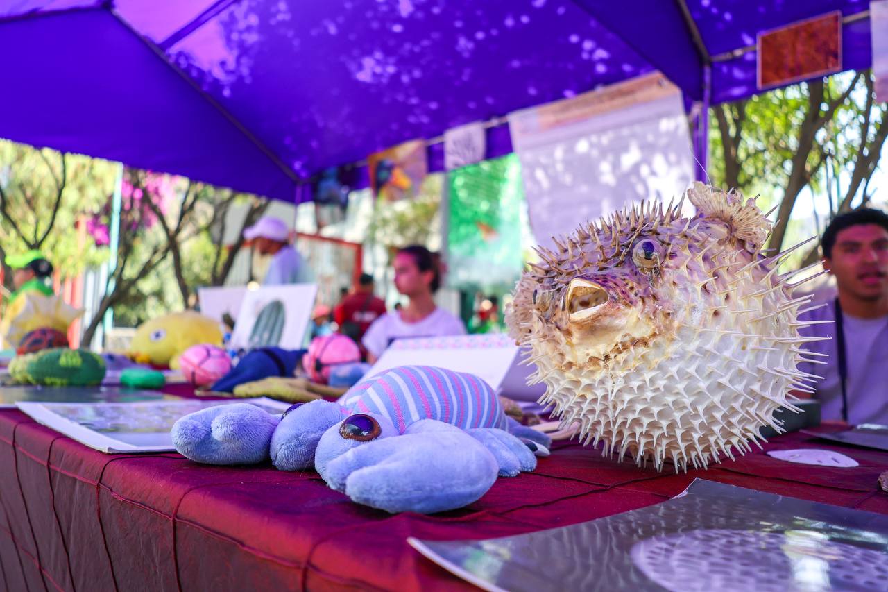 WhatsApp Image 2026-04-24 at 2.11.18 PM (1).jpeg