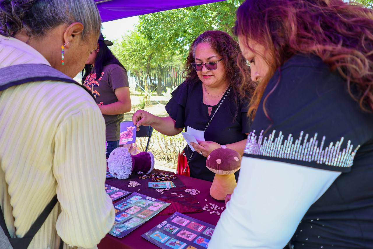 WhatsApp Image 2026-04-24 at 2.11.18 PM (2).jpeg