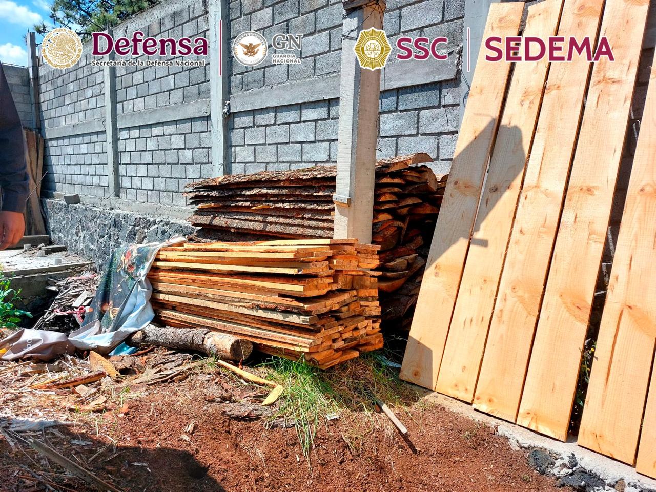 WhatsApp Image 2026-04-25 at 11.02.25 AM (5).jpeg