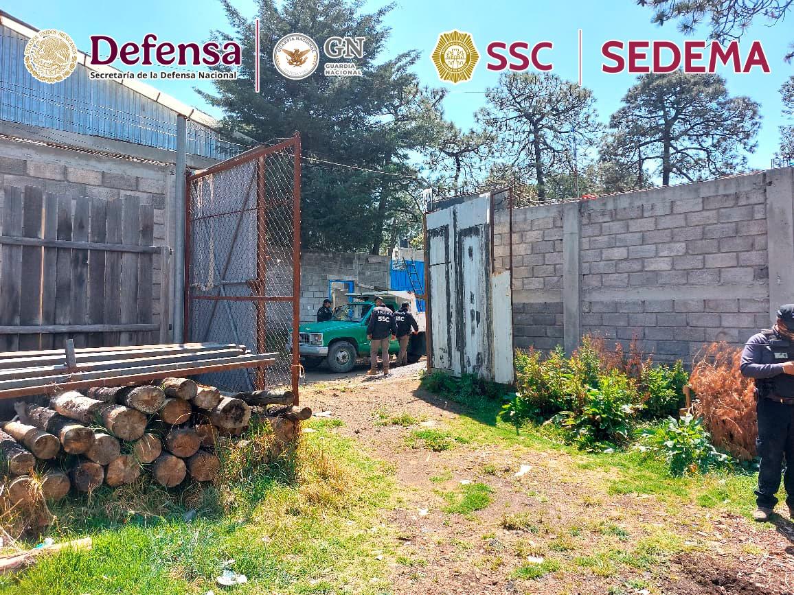 WhatsApp Image 2026-04-25 at 11.02.25 AM (3).jpeg