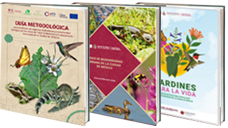 Biblioteca ambiental, SEDEMA