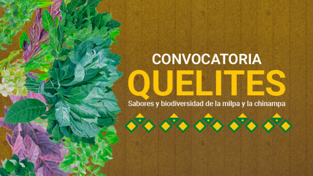 Quelites Web 2.png