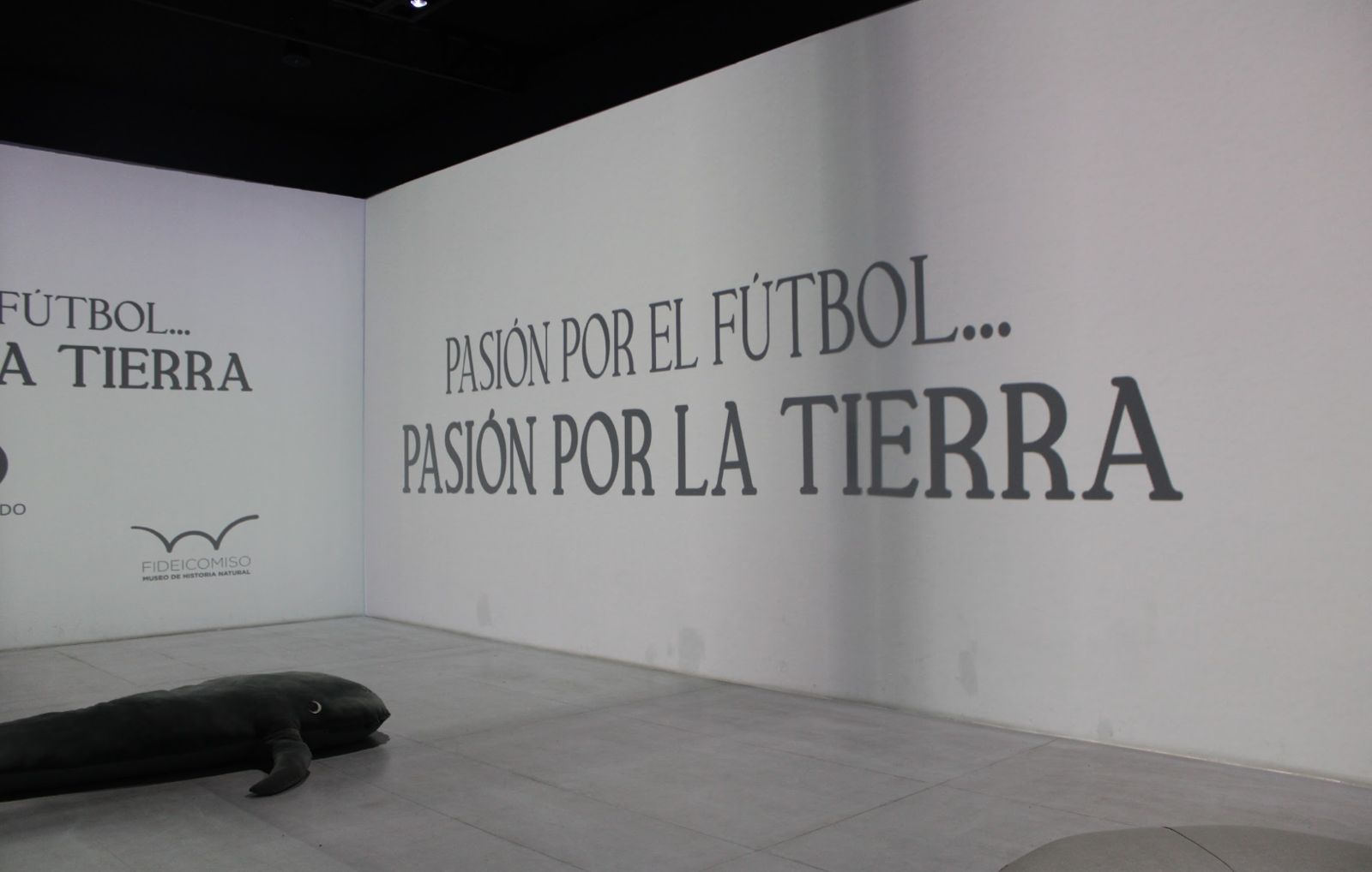 afe25b04-de04-4876-a63e-86ca29ef4bea.jpeg