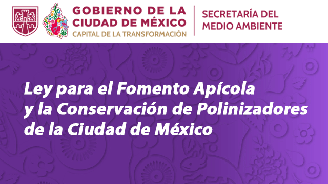 Nueva Ley para el Fomento Apícola y la Conservación de Polinizadores de la CDMX