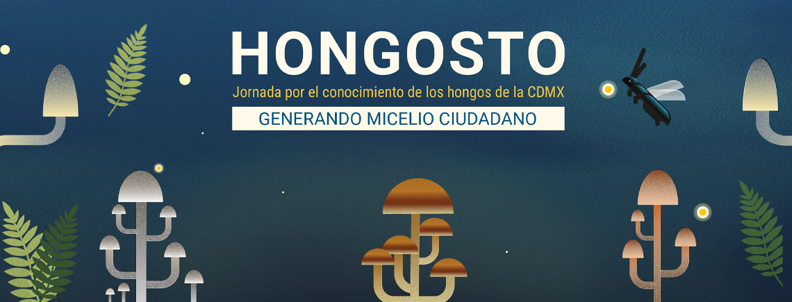 Hongosto2026