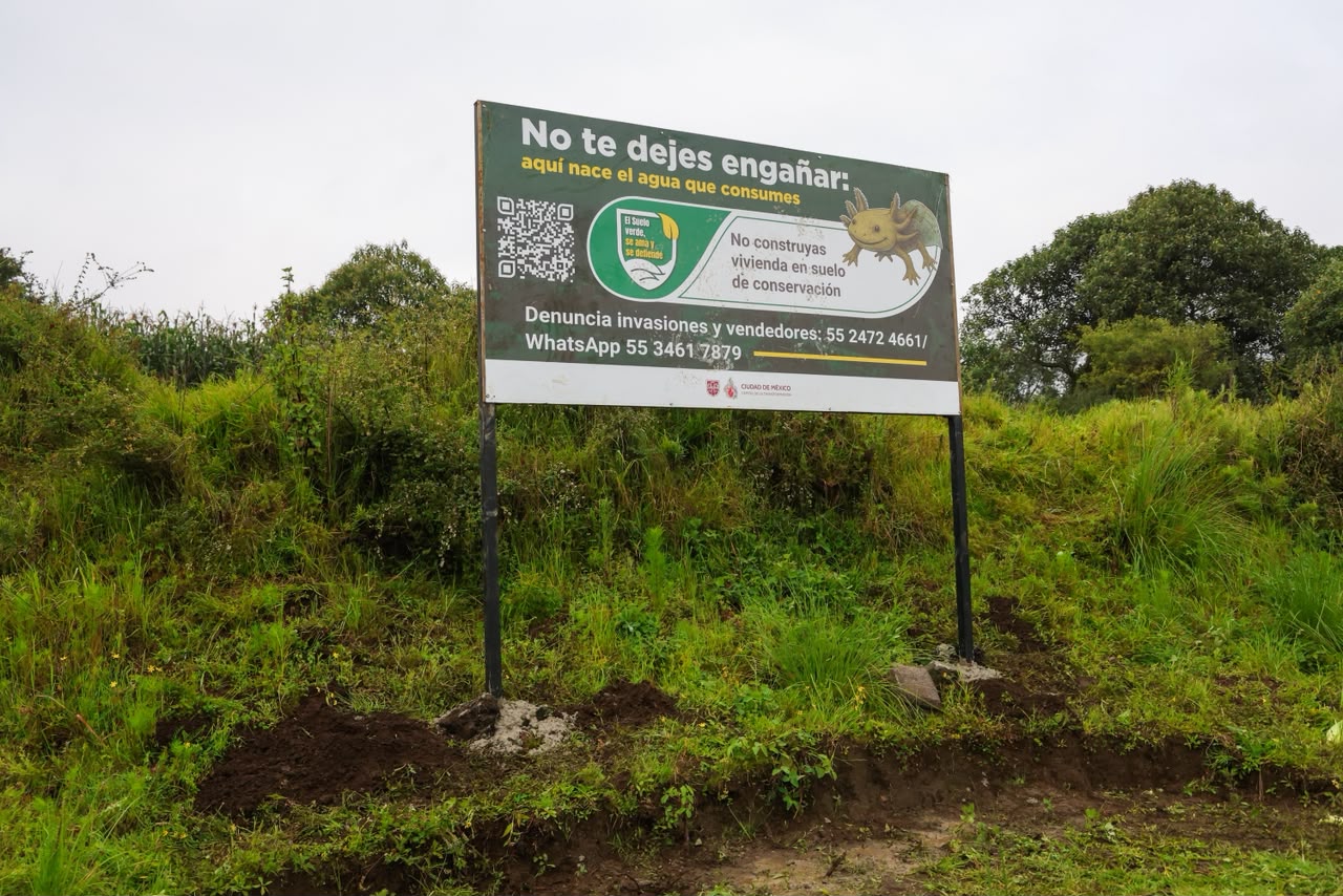 XOCHI 3.jpeg