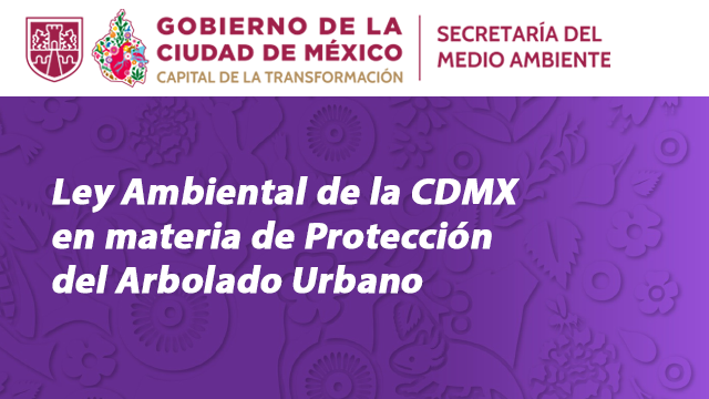 Nuevas disposiciones de la Ley Ambiental de la CDMX, en materia de protección del arbolado urbano