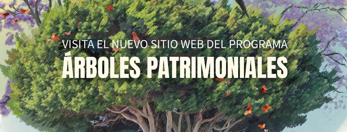 Nuevo sitio árboles