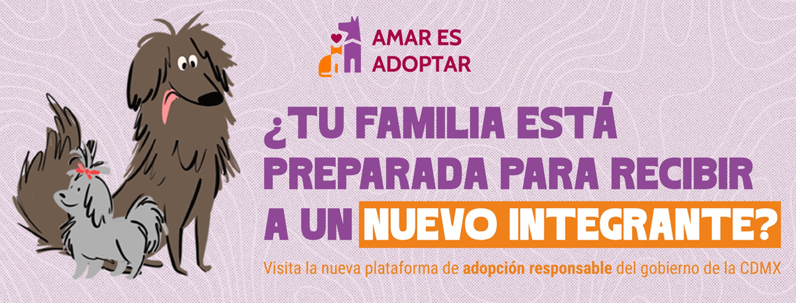 Adopción