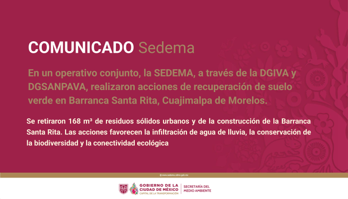 BOLETIN IMAG-17.png